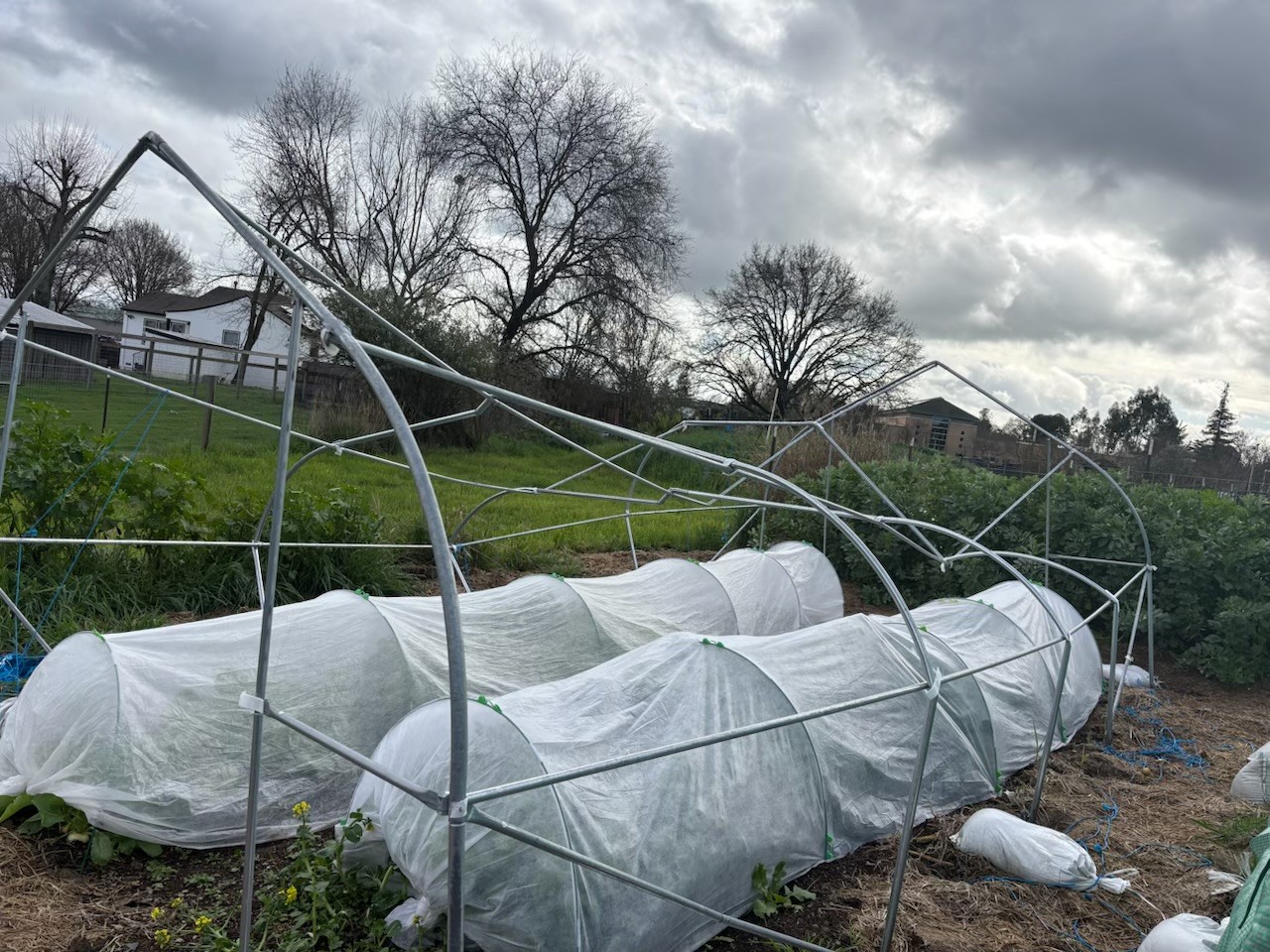 562a134b-25f9-4854-a0ef-1a4ac9ec1960