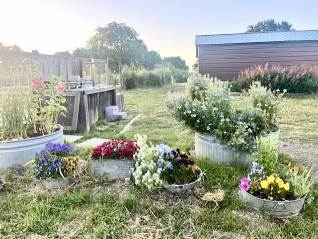 flowersagain